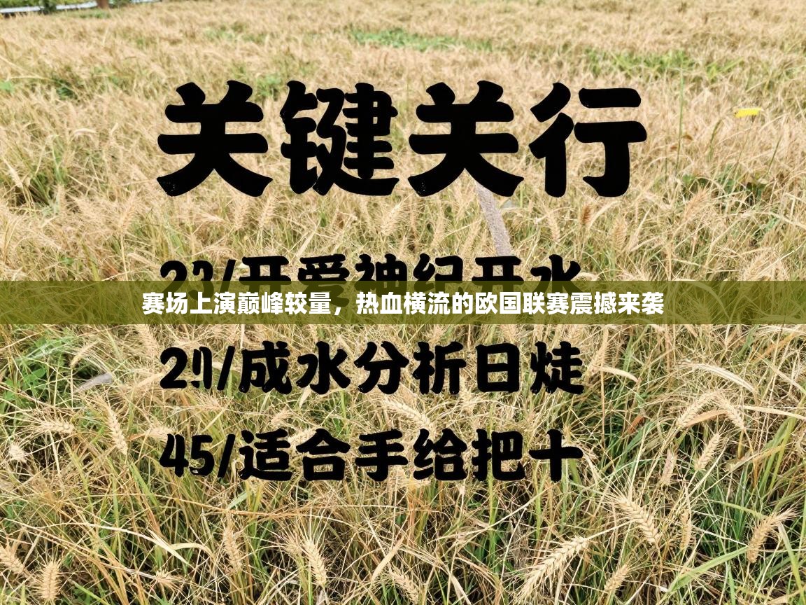 赛场上演巅峰较量，热血横流的欧国联赛震撼来袭  第1张